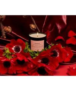 BOY SMELLS NEW IN REDHEAD CANDLE