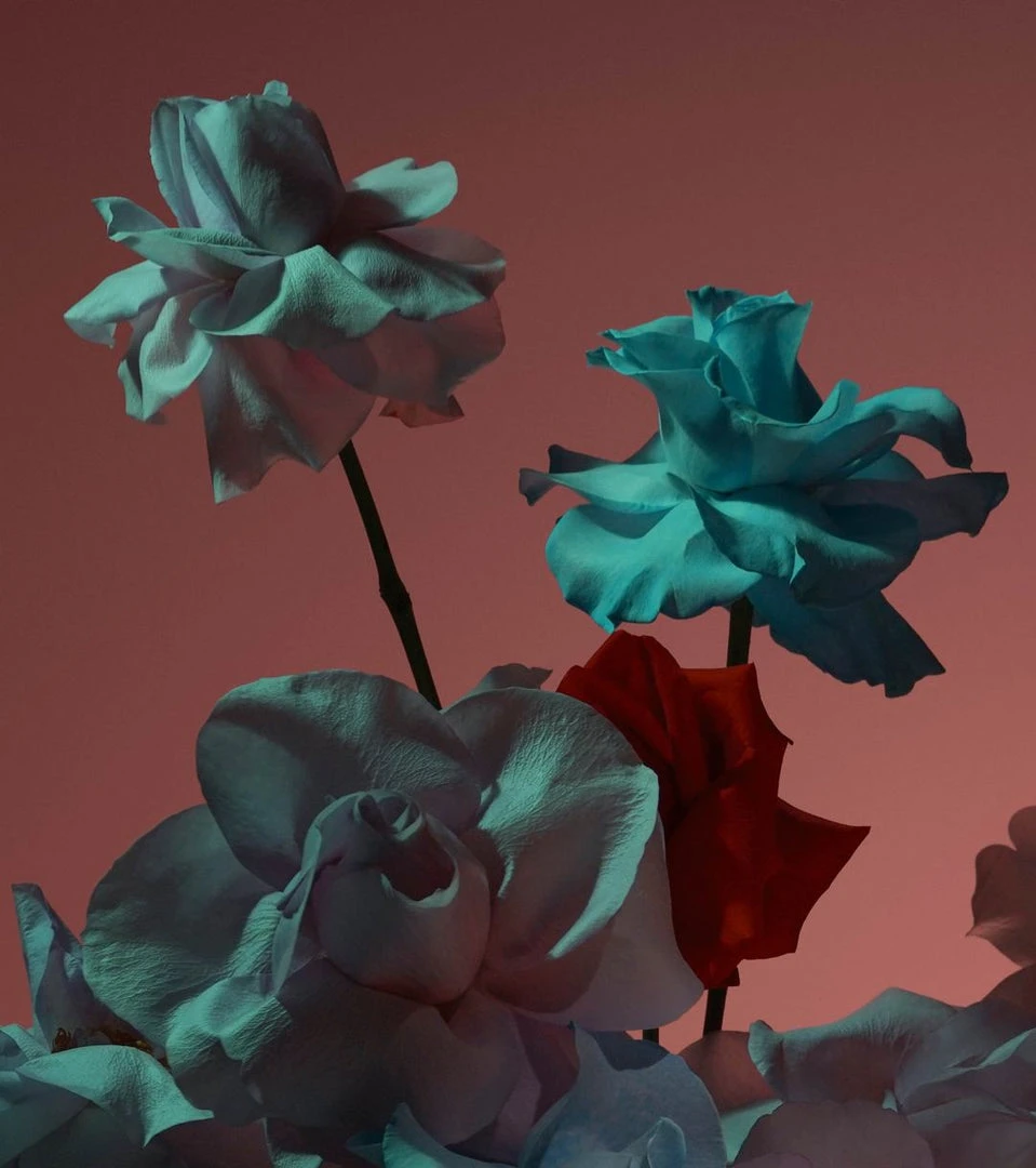 BOY SMELLS CAMEO MAGNUM CANDLE 7 BOY SMELLS CAMEO MAGNUM CANDLE