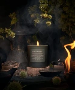 BOY SMELLS NEW IN THE FANTOME CANDLE
