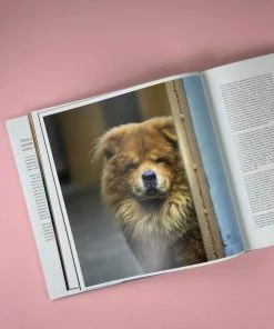 COFFEE TABLE BOOKS THE LIFE AND LOVE OF DOGS BOOK NEW IN