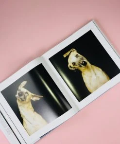 COFFEE TABLE BOOKS THE LIFE AND LOVE OF DOGS BOOK NEW IN