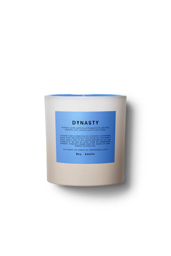 BOY SMELLS SALE DYNASTY CANDLE PRIDE COLLECTION 1 BOY SMELLS SALE DYNASTY CANDLE PRIDE COLLECTION